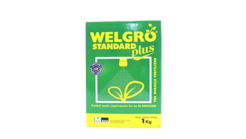 Welgro Standard plus Masso