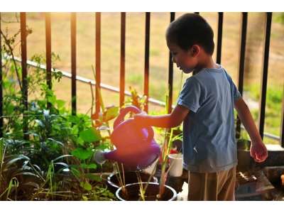 Benefits of gardening with children: keys to starting the little ones in caring for plants 