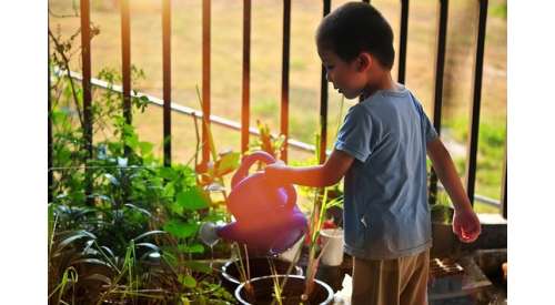 Benefits of gardening with children: keys to starting the little ones in caring for plants 