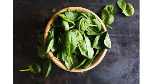 How to grow basil at home (your meals will never taste the same again!)